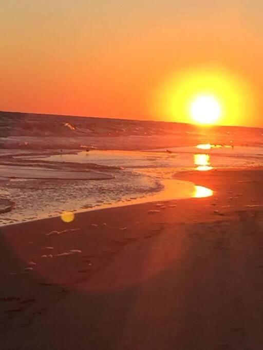 Living The Dream 2 Bedroom Ocean View Cozy Condo Gulf Shores Exterior foto